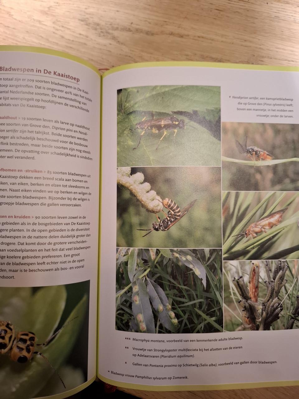 De Kaaistoep, het best onderzochte stuk natuur in Nederland, KNNV Tilburg