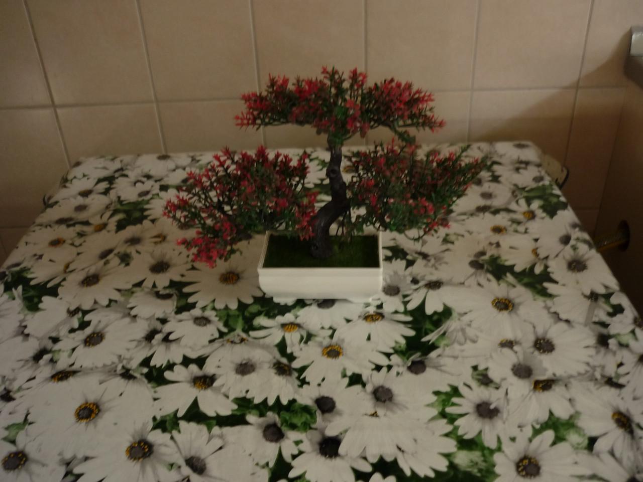 KUNST BONSAI BOOMPJES