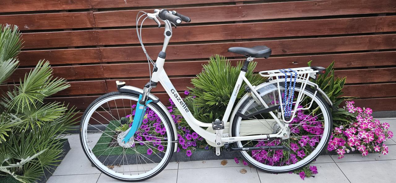 Gazelle Orange Plus Damesfiets