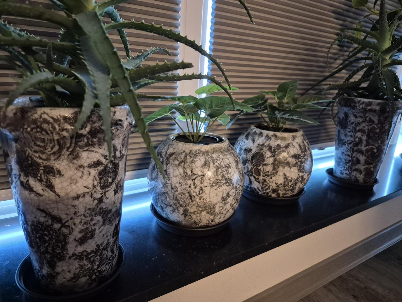 Prachtige serie bloempotten (PTMD) inclusief planten