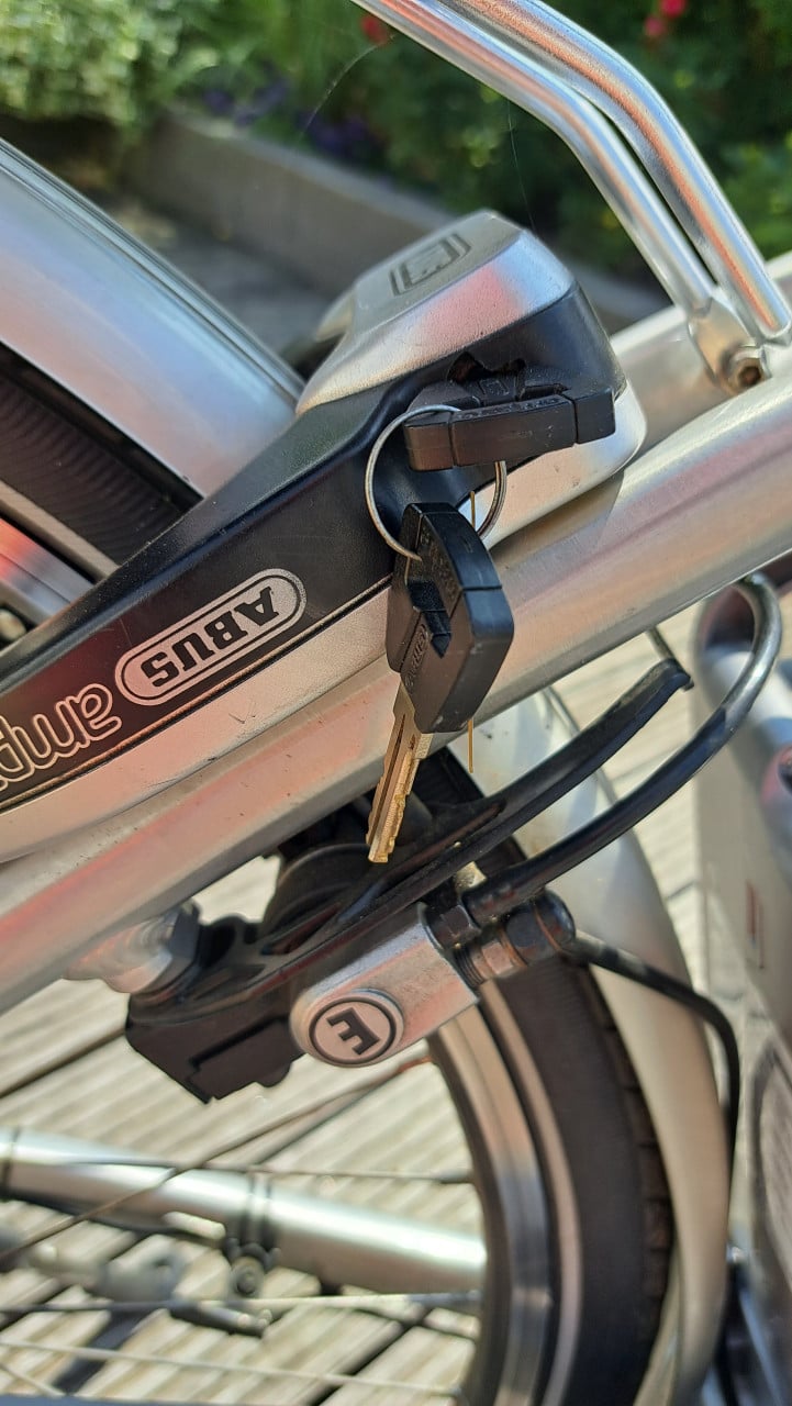 Flyer damesfiets