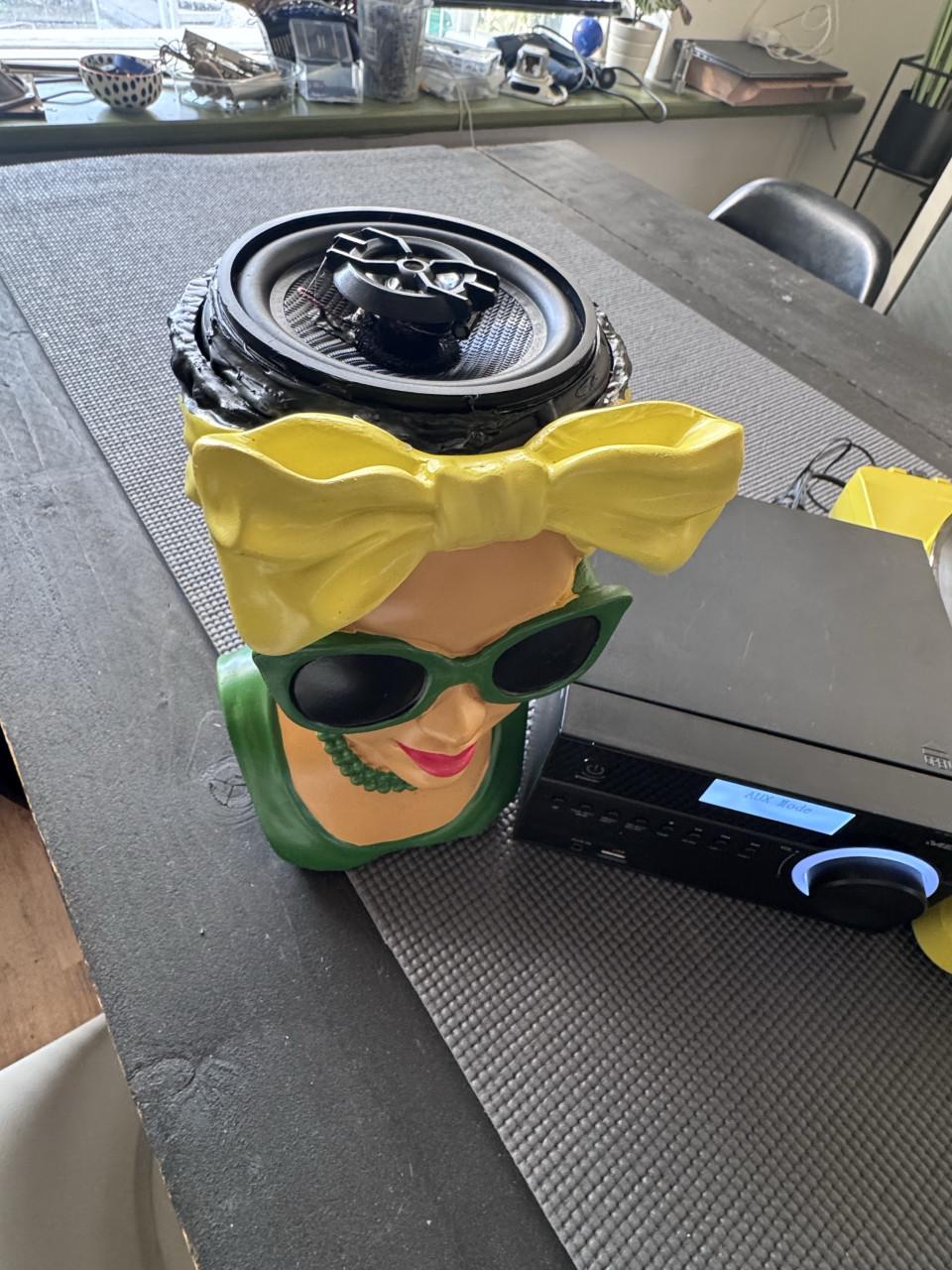 Lekker gek audiosetje