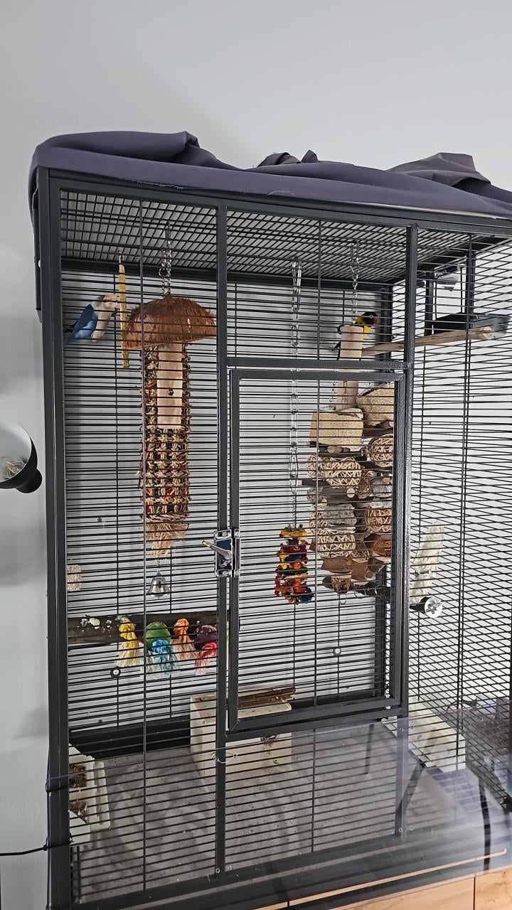 Koppeltje Agaponis fishiries met kooi