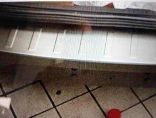 Nieuwe Ford Eco sport bumper protector