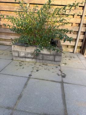 Stapelblok bloembak tuin 60x15x15