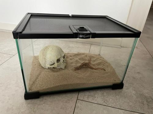 REPTIZOO glazen terrarium