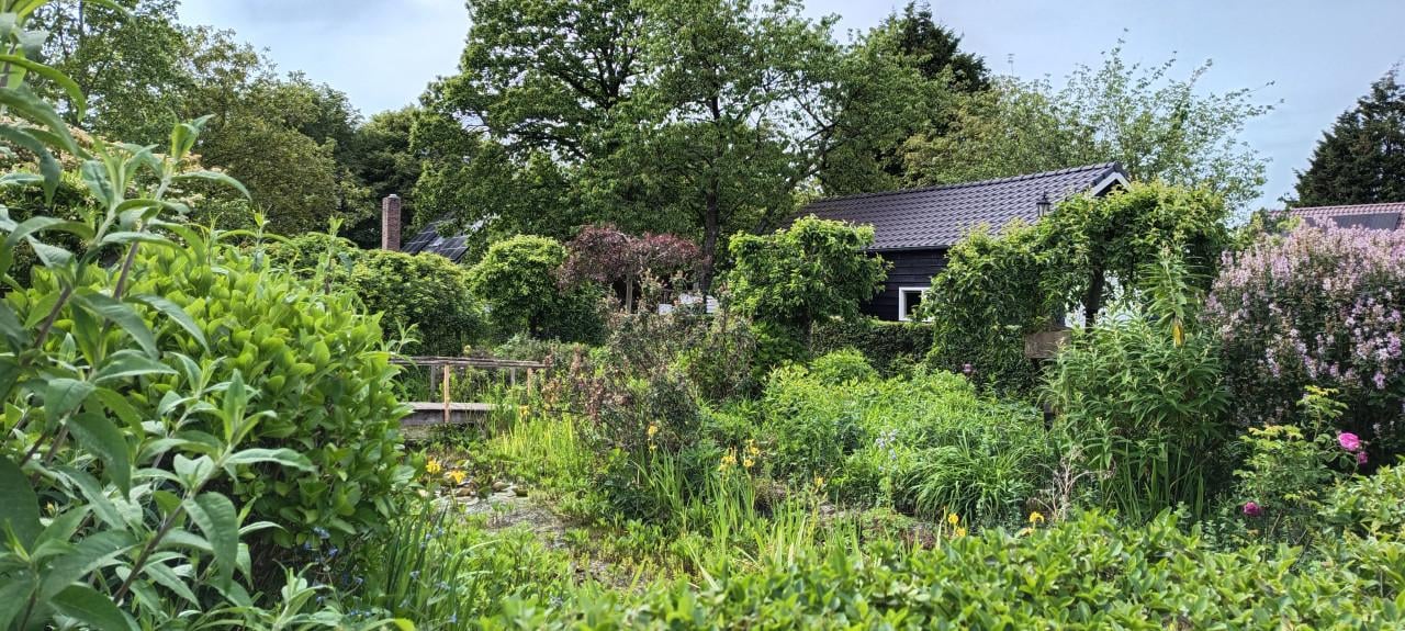 Route: Open Tuinen Waasland tijdens het Pinksterweekend, inkom gratis !