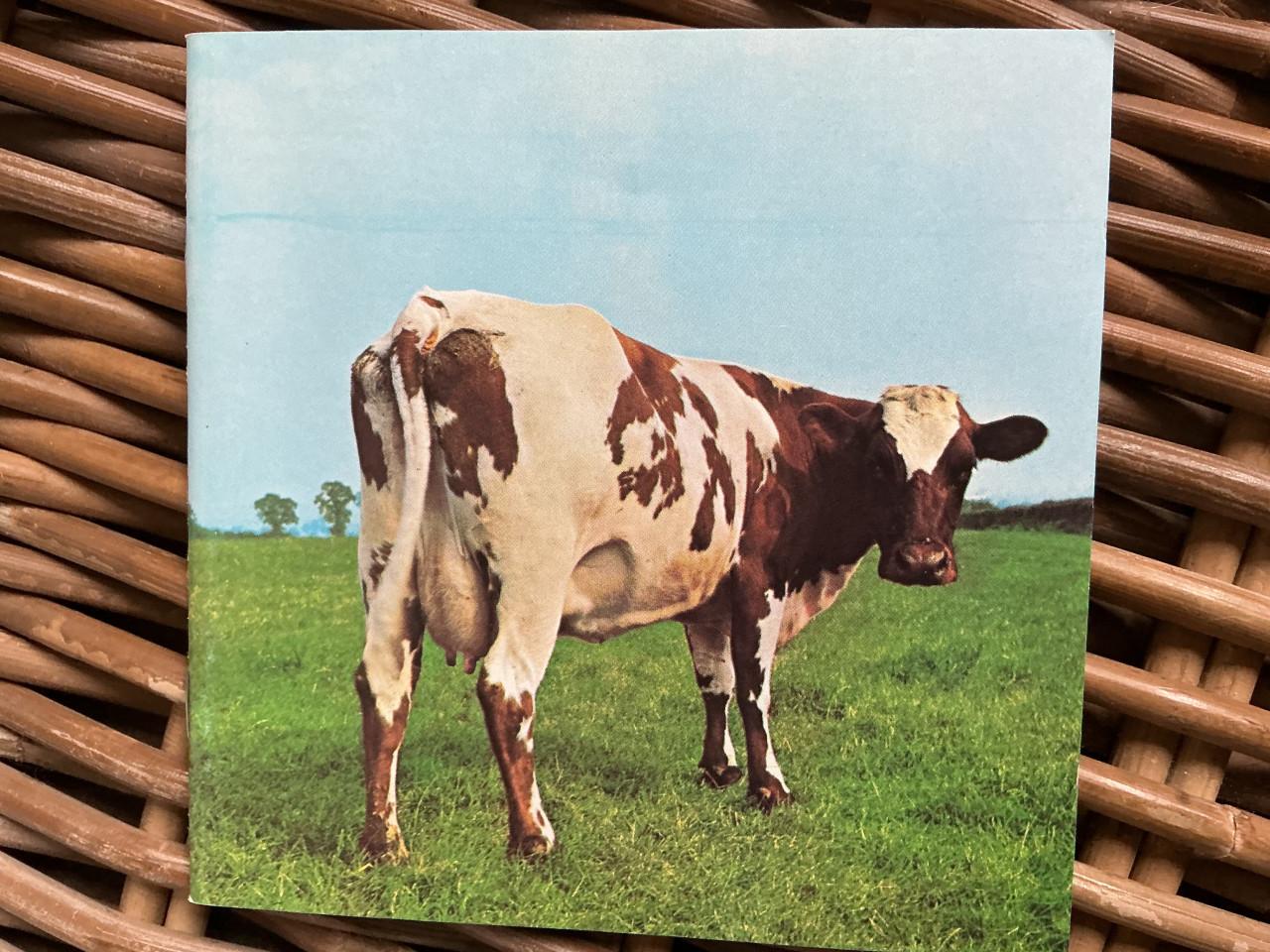 Links floyd atom  heartmother