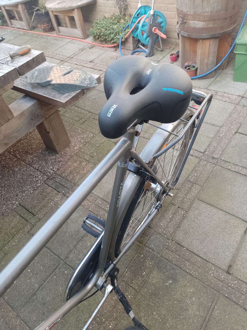 Robuuste Gazelle (slag)