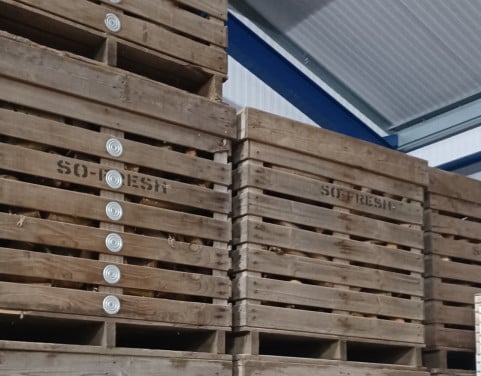 Gedroogd direct stookbaar haardhout