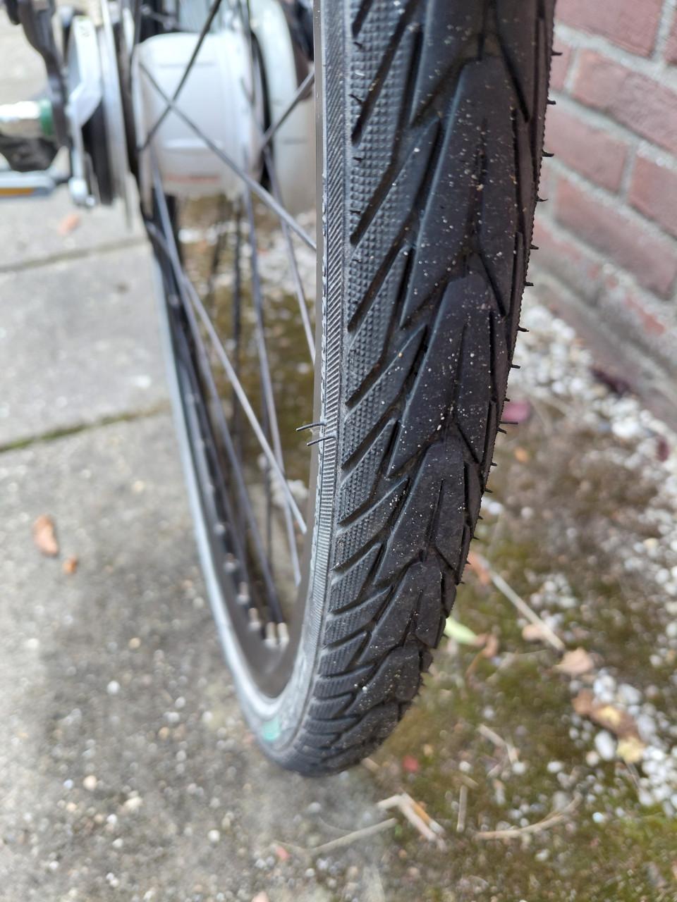 Gazelle Eclipse Limited Edition 8V – 53 cm