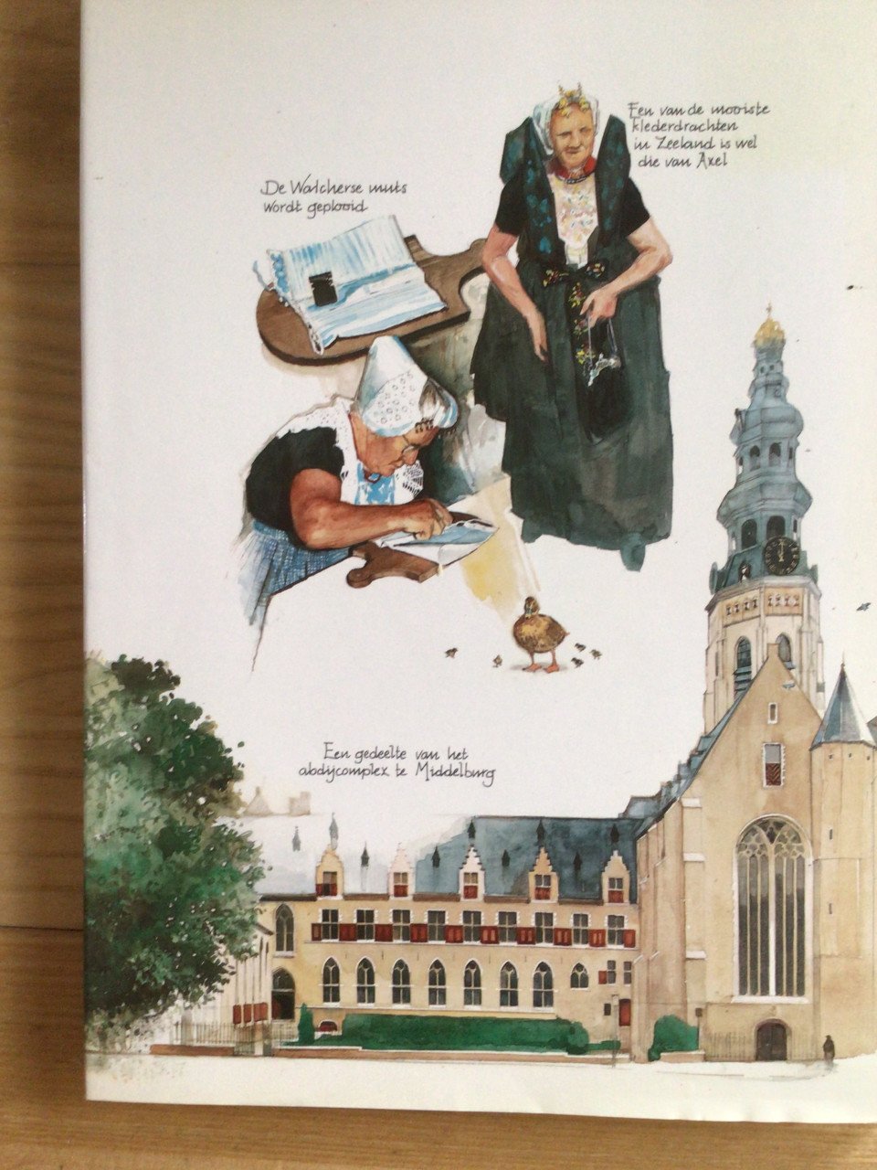 Zeeuws platenboek