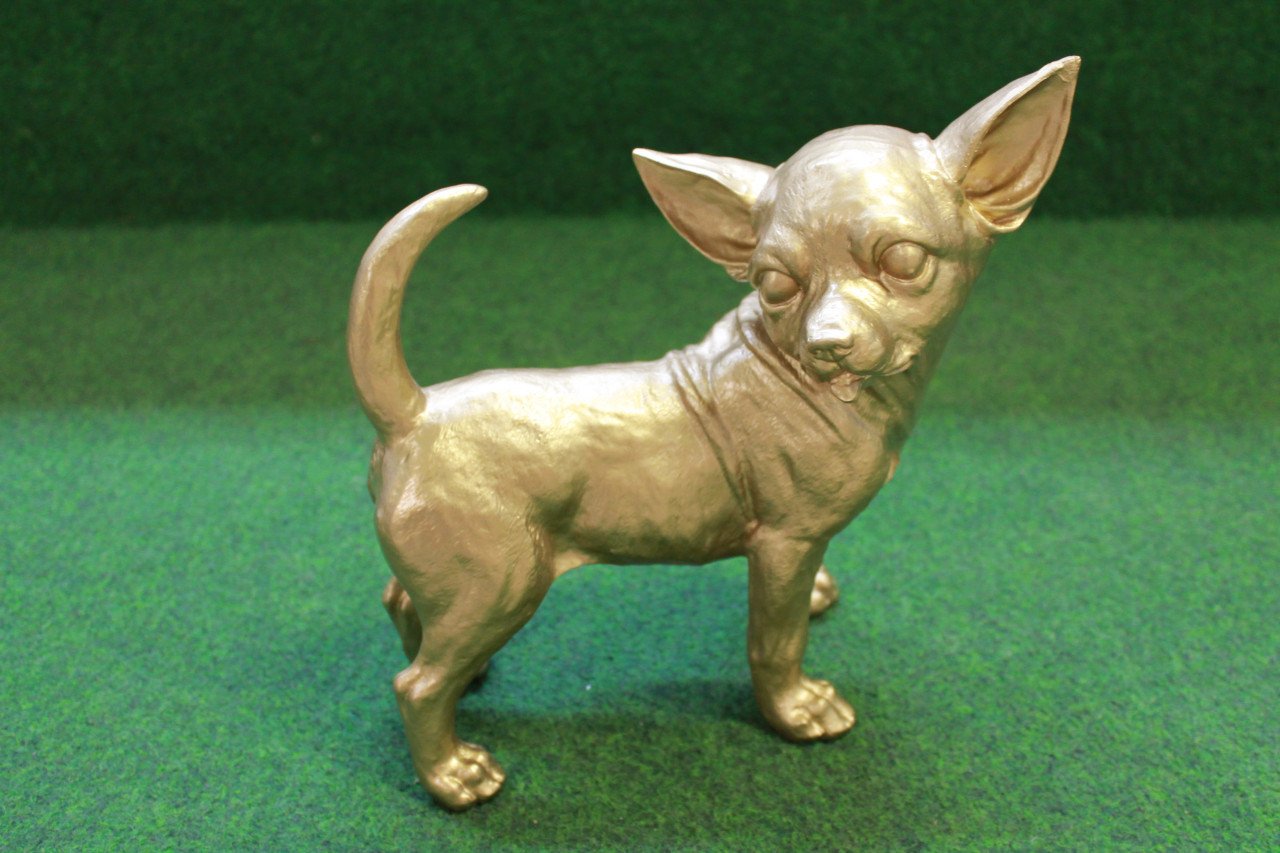 Gouden bulldog met zwarte zonnebril