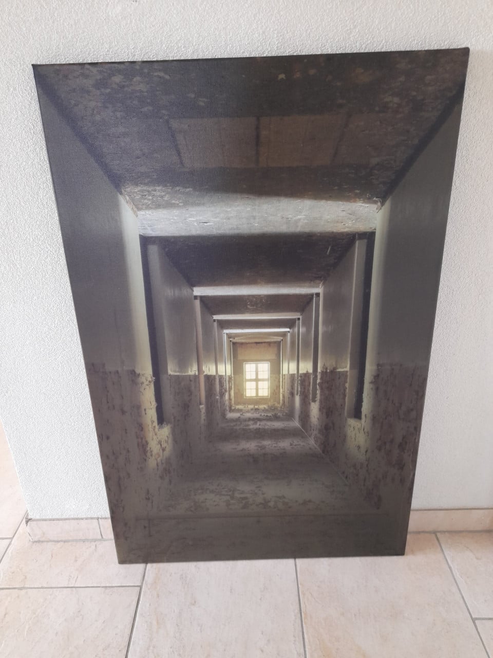 2 Canvas schilderijen  65 x 100 (in goede nette staat)