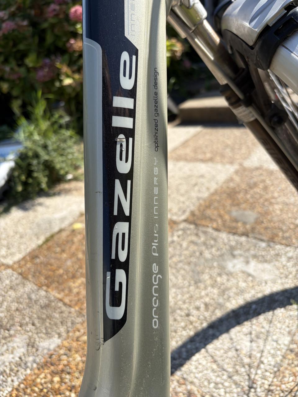 Elektrische fiets Gazelle orange plus innergy