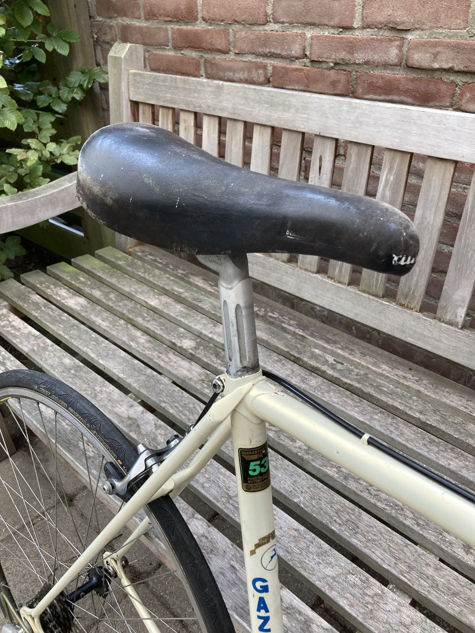 Gazelle Champion Mondial
