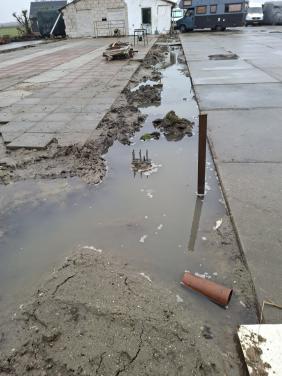 Stelconplaten gevraagd