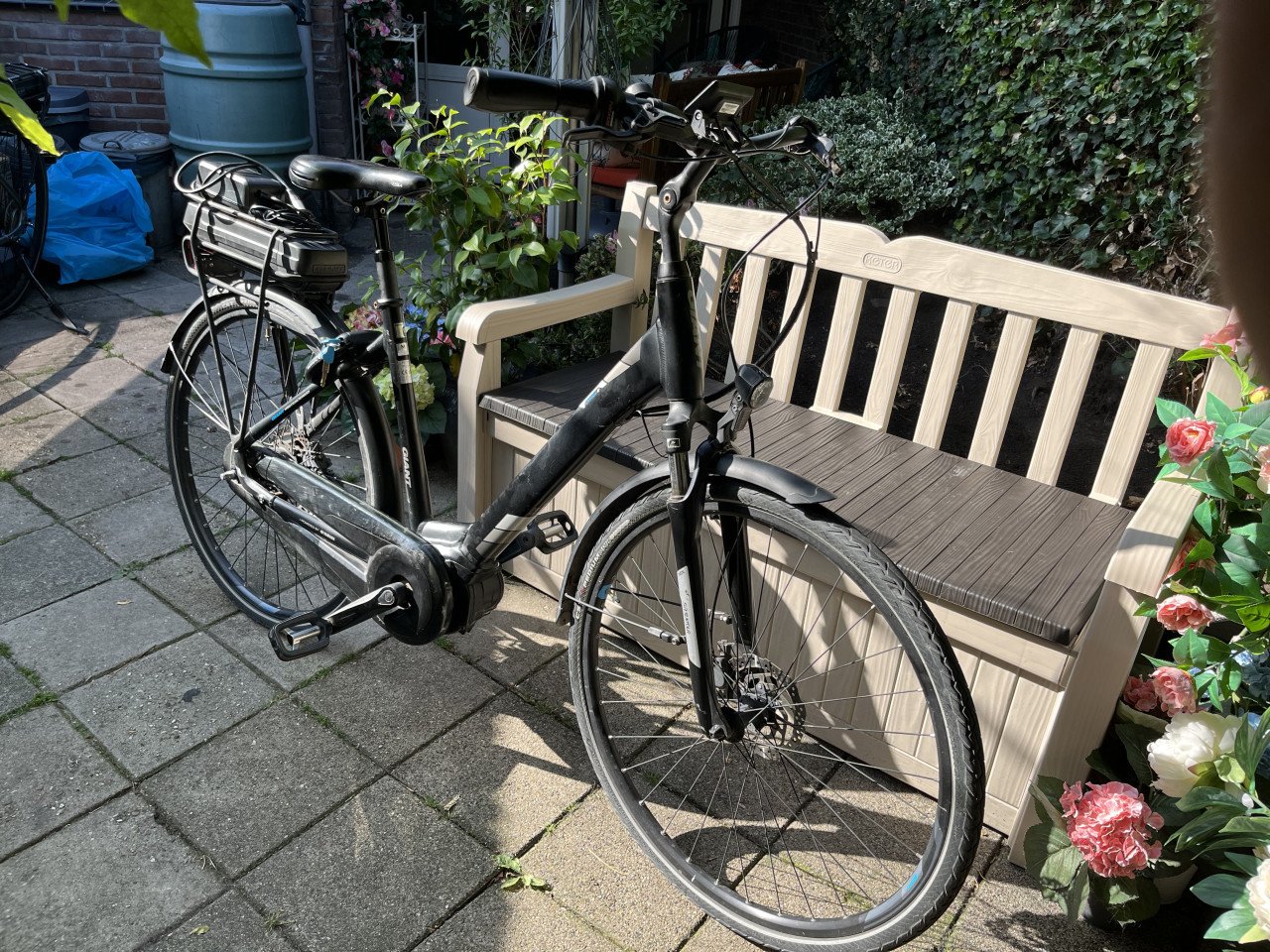 Defecte Giant Entour Ebike