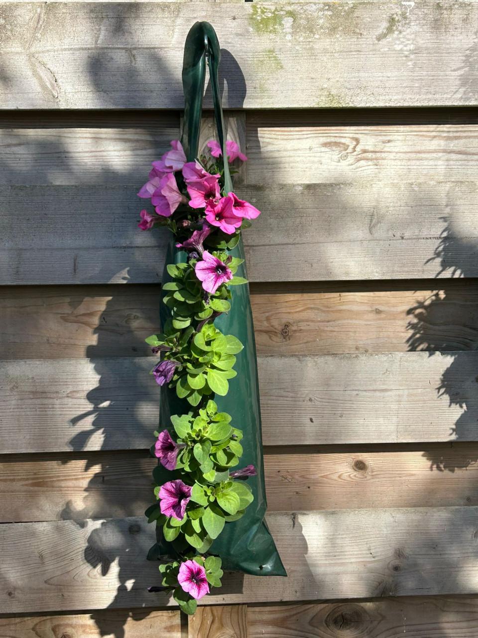 Hangzakken met plantjes tbv het goede doel