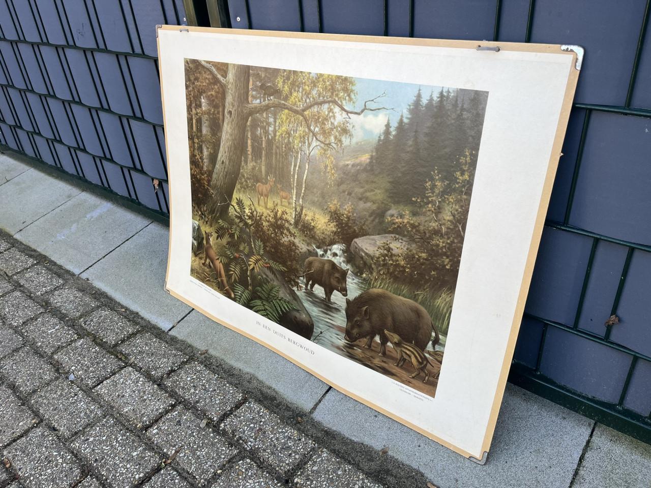 Schoolplaat in het Duitse bergwoud