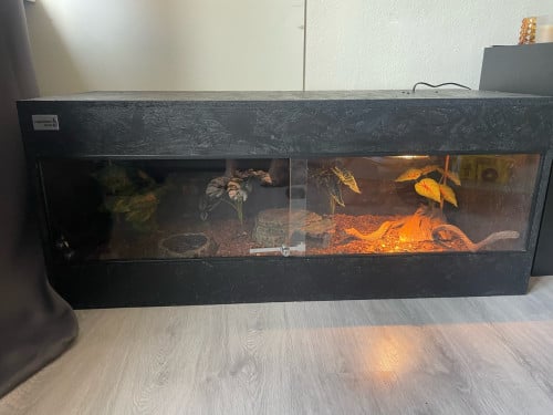 Terrarium + slang