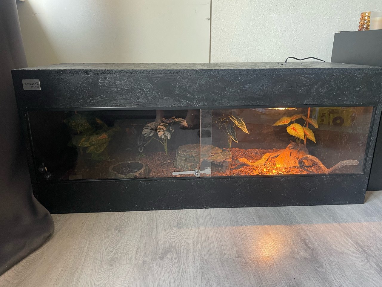 Terrarium + slang