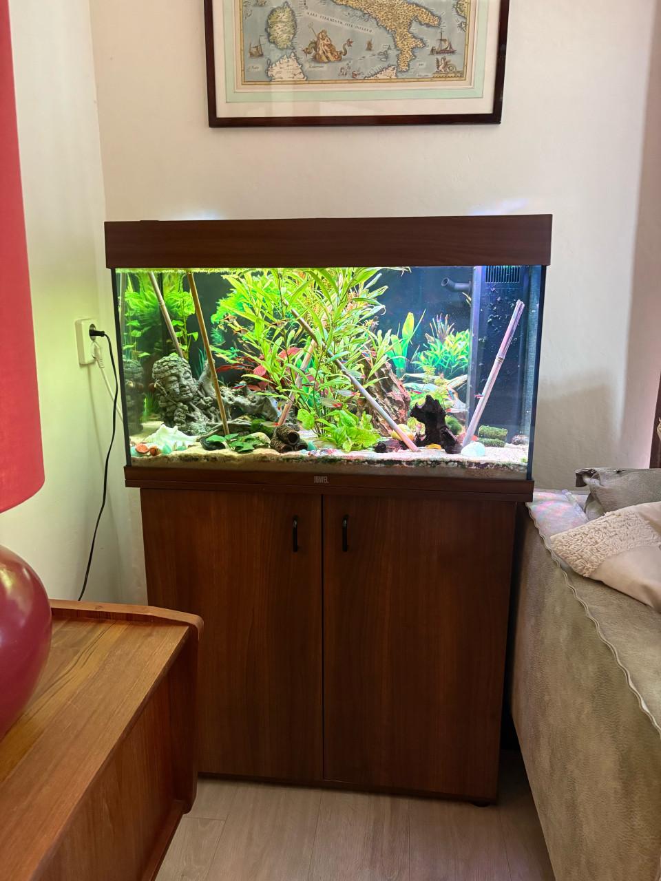 Juwel 120 liter aquarium incl. Vissen en toebehoren