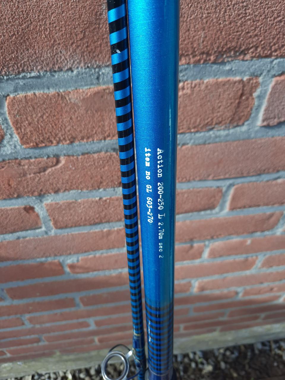 Zeehengels