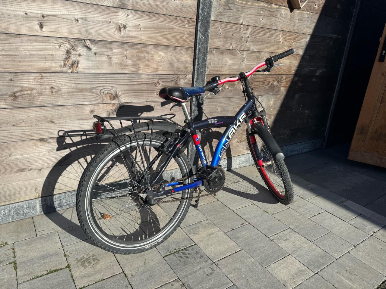 Batavus snake 24 inch