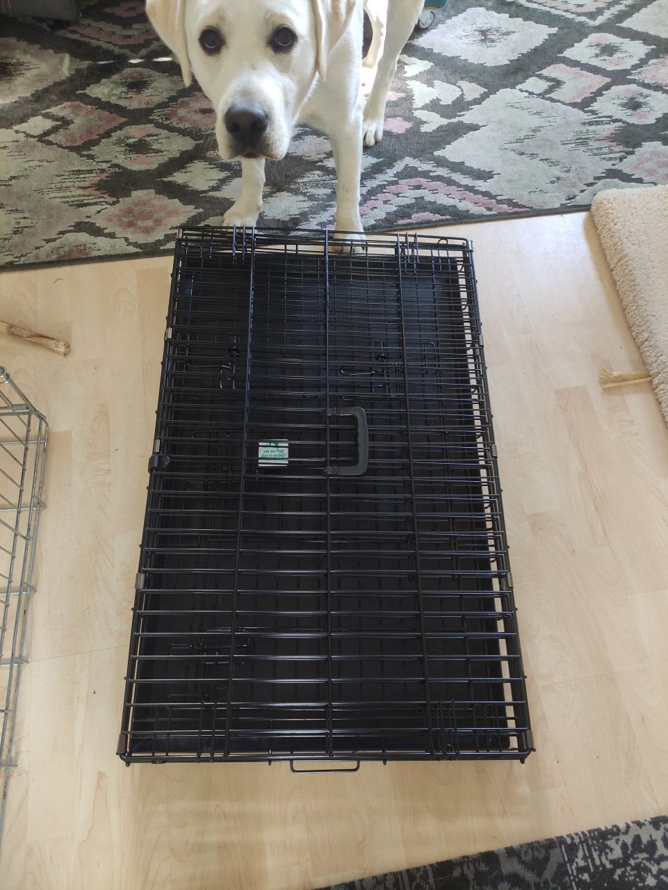Bench zgan met kussen voor middelgrote hond of pup