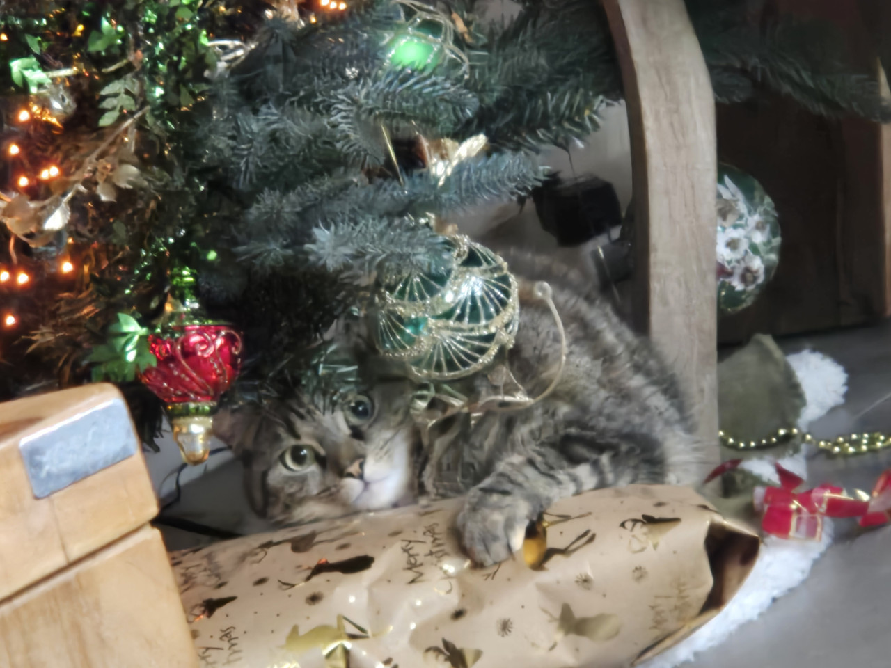 Te koop z.g.a.n.blauwspar kunstkerstboom