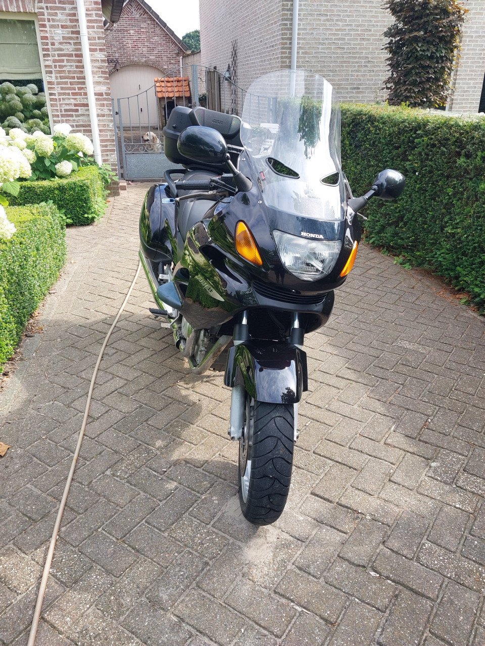 Honda Deauville