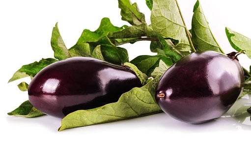 Moestuinen vrij middelburg