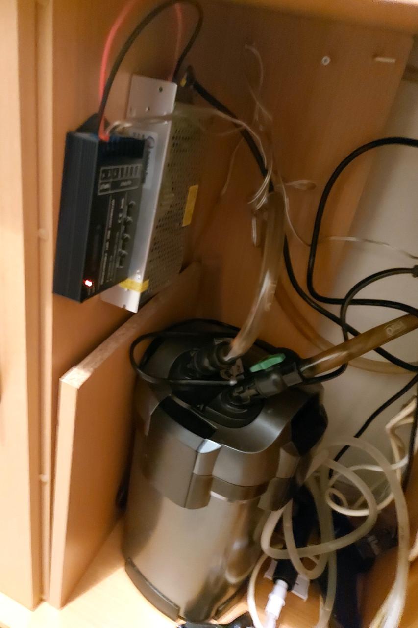 Aquarium geheel compleet