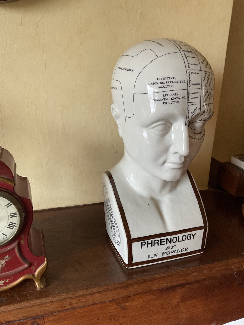 Phrenologie hoofd