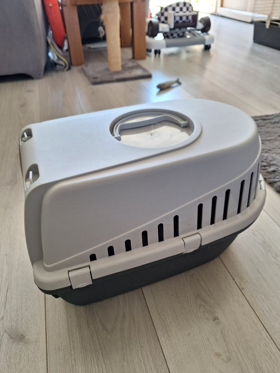 Kattenreismand nieuw