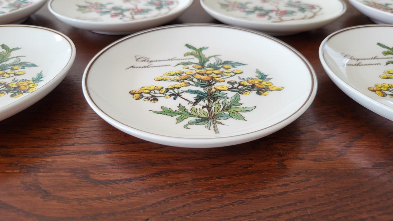 Set van 7 Villeroy & Boch Botanica petit four bordjes - NIEUW