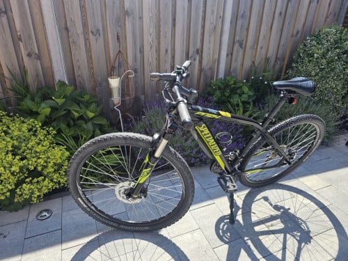 MTB  Specialized