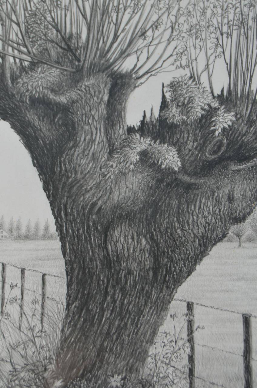 9 x Hendrik Voskuijl (1893 - 1980) potloodtek. bomen (3) o.a. Ommen