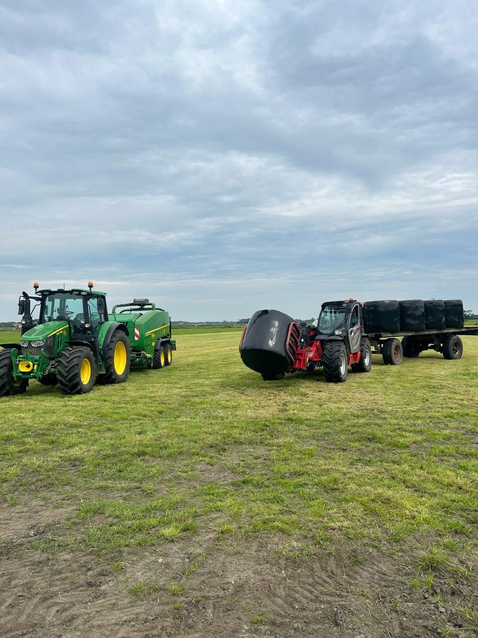 Te koop gevraagd, gras op stam.