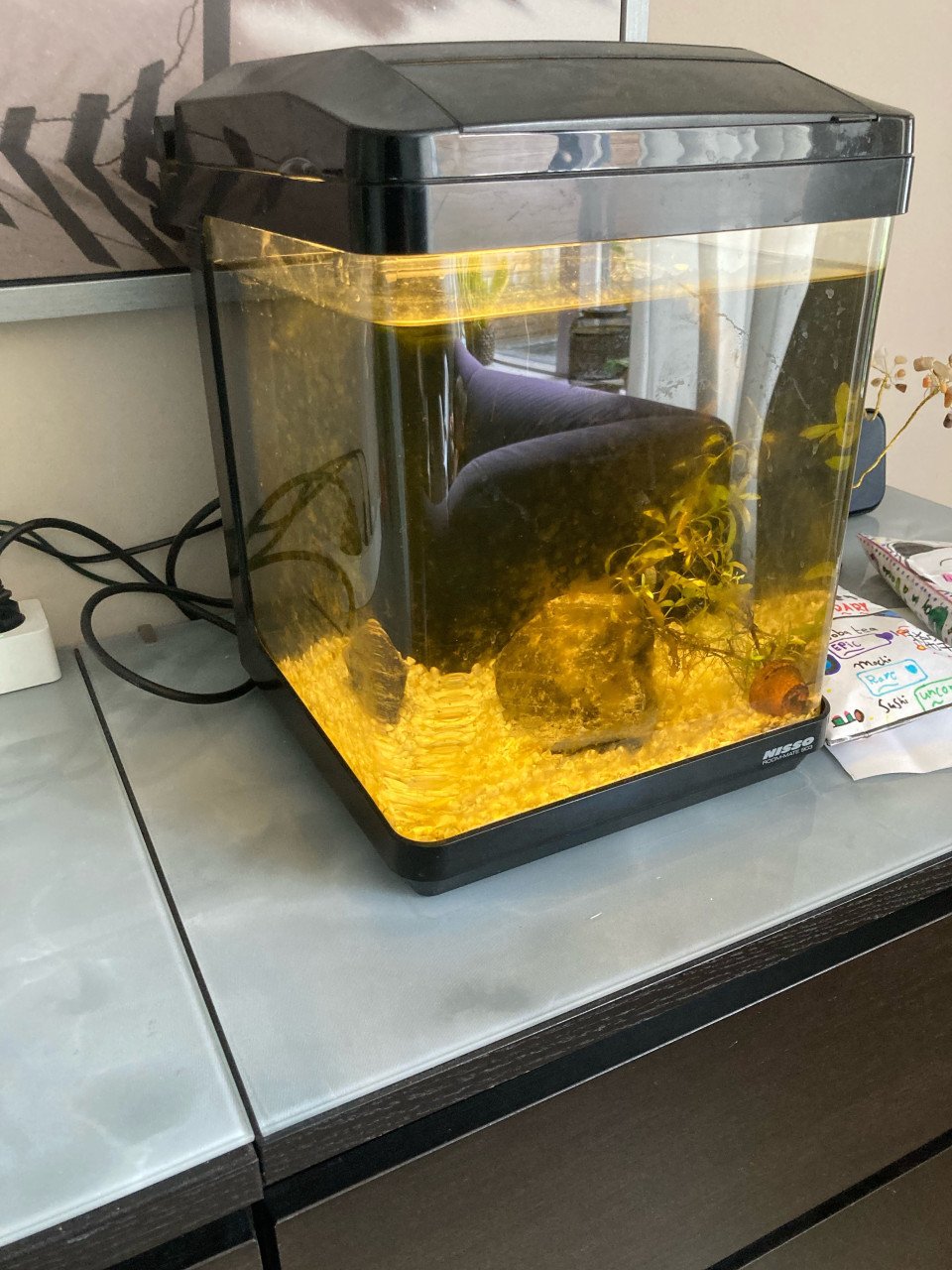 Japans aquarium Nisso