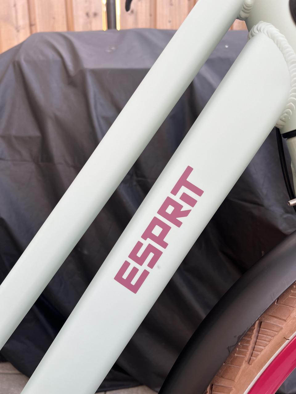 Gazelle Esprit Topstaat