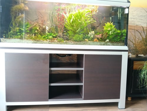 Mooi en groot Aquarium