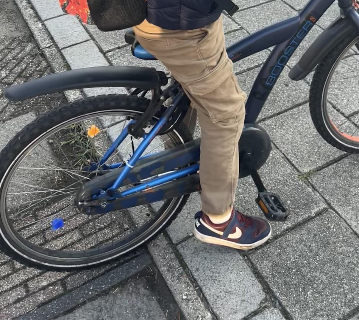 Loekie Booster 22 inch