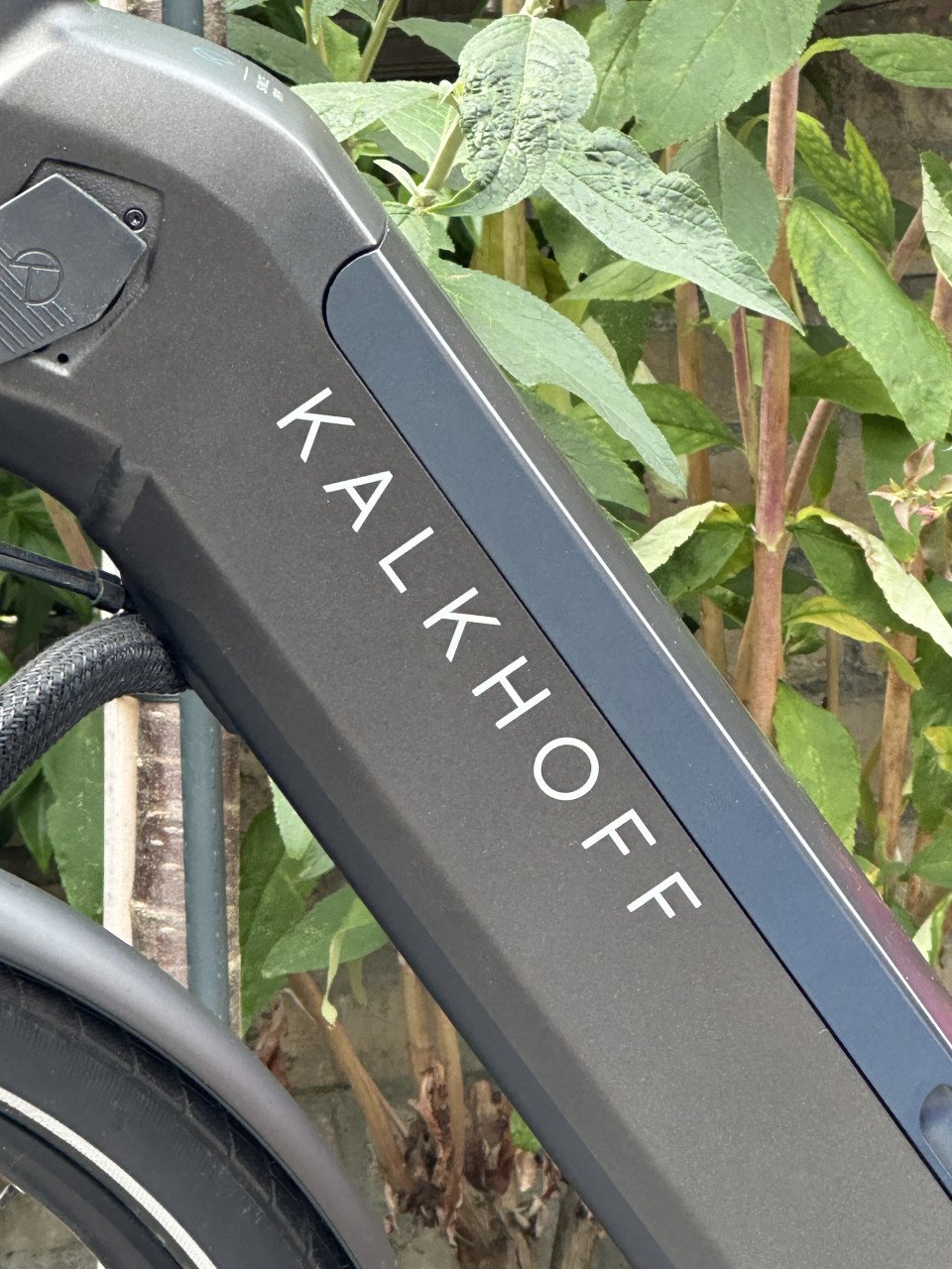 Kalkhoff Image 5