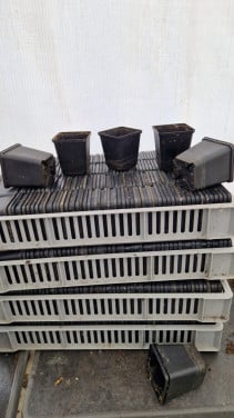 Plantpotjes  maat:P9 vierkant