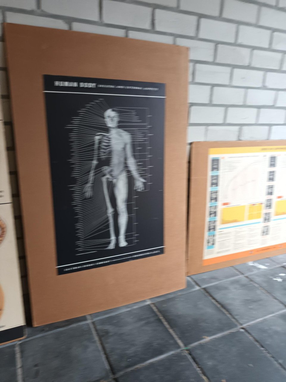 17 vintage lesplaten met koffer