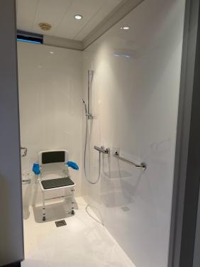 Inloopdouche (seniorendouche)