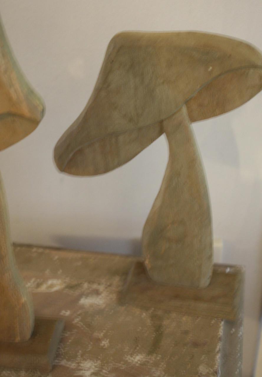 Set van 2 houten paddenstoelen