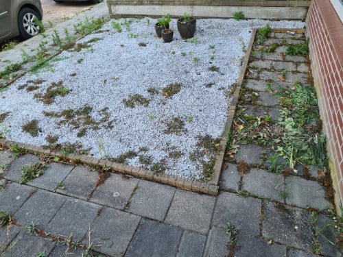 Onkruid verwijderen uit uw tuin.